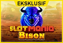 Slot Game